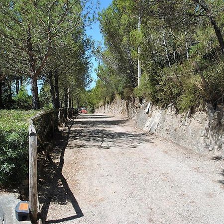 Villa Arborea In Sperlonga Dış mekan fotoğraf